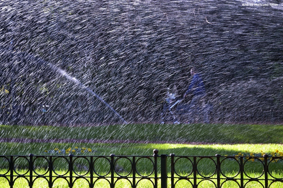 "Jardin Botanico" de Andres Mancuso