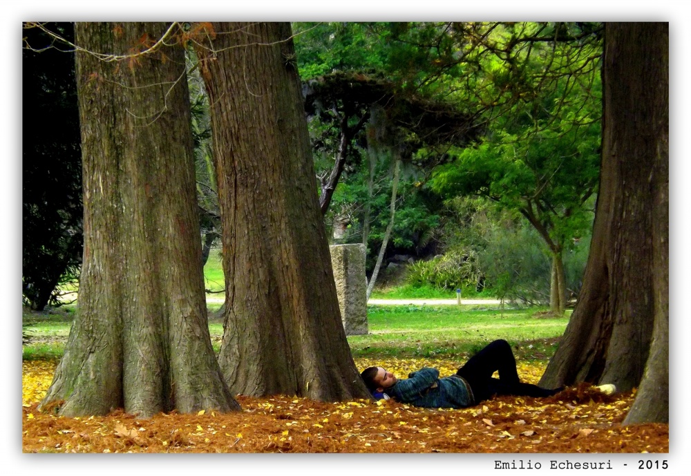 "Siesta" de Emilio Echesuri