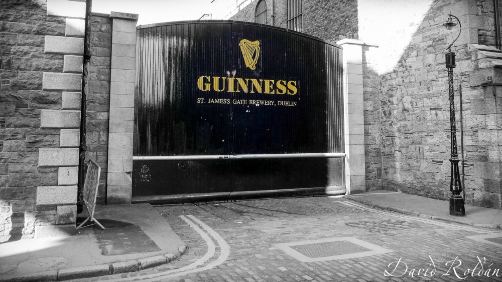 "my Goodness my Guinness" de David Roldn