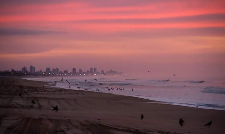 "Atardecer en la playa" de Edith Polverini