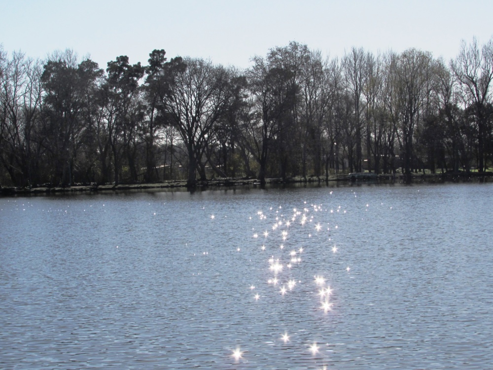 "Laguna del Parque Gral San Martin" de Victor Osmar Quiones