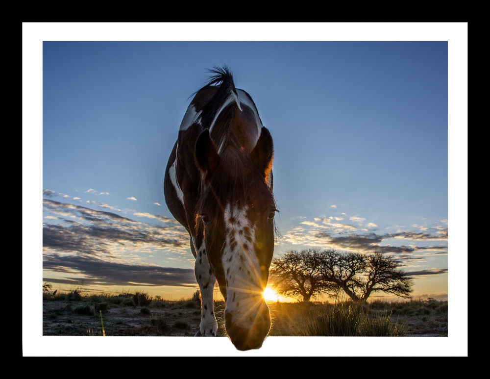 "escape" de Jose Luis Anania