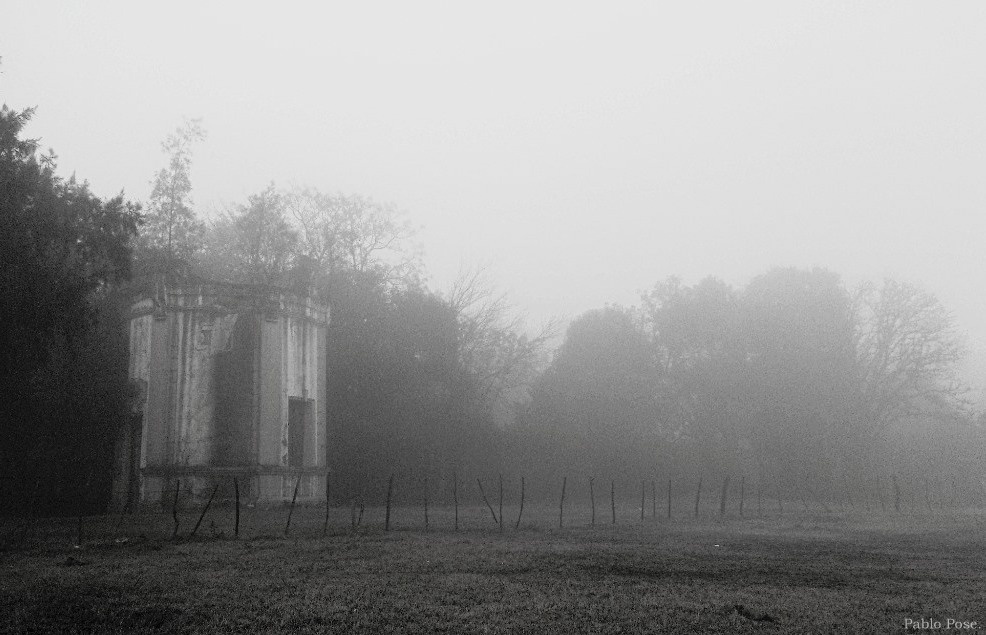 "Maana de niebla II" de Pablo Pose