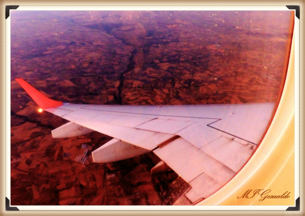 "En vuelo.................." de Margarita Gesualdo (marga)