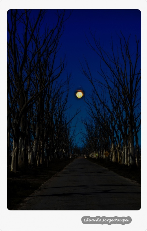 "La luna entr por la calle larga" de Eduardo Jorge Pompei