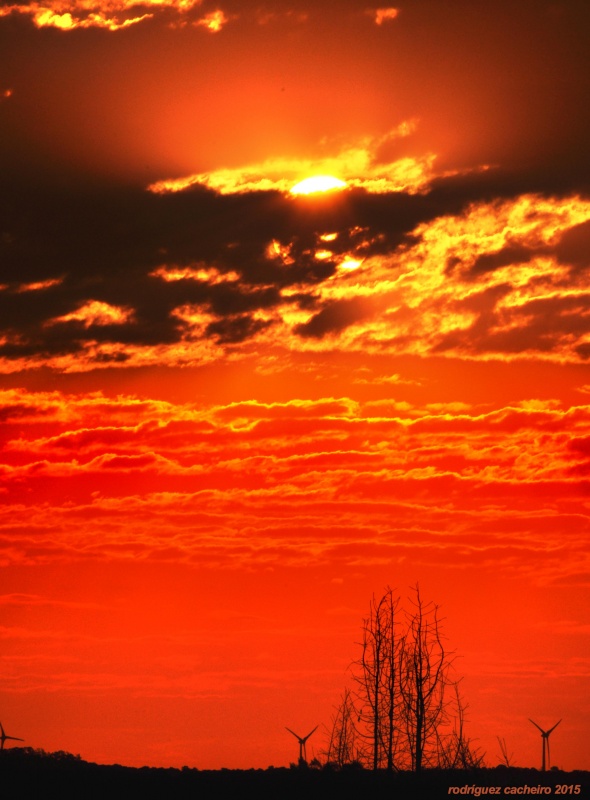 "Como fuego celestial" de Hctor Rodrguez Cacheiro