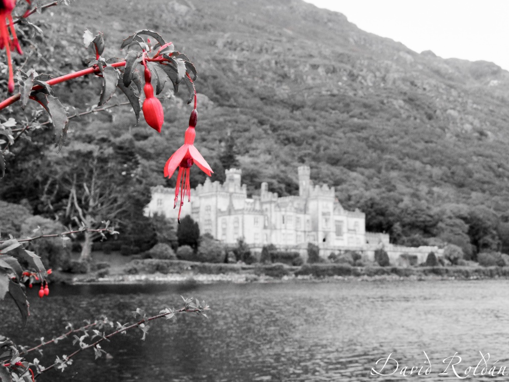 "Dream Ireland 4010 Kylemore Abbey" de David Roldn