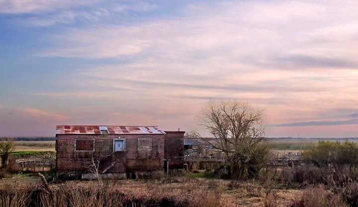 "Casa en las islas" de Edith Polverini