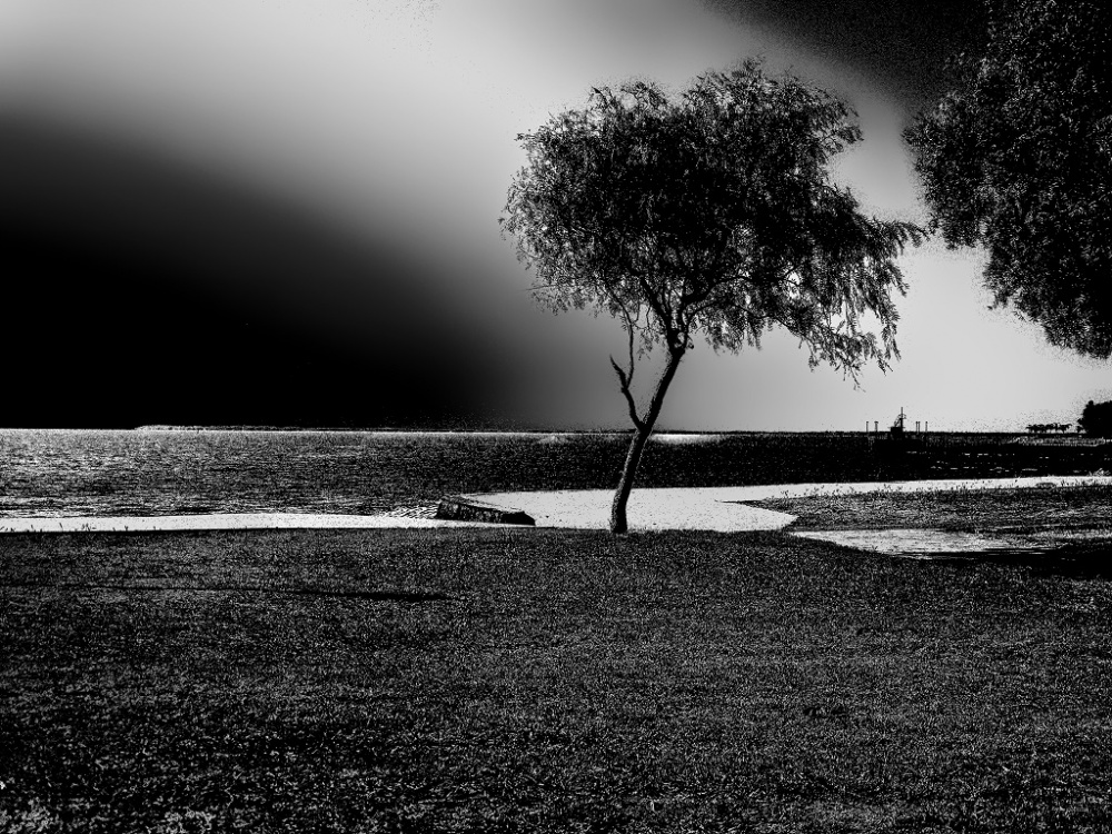 "En la Noche" de Roberto A. Torres
