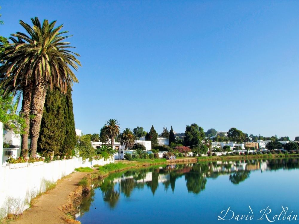 "reflections of Tunisia" de David Roldn