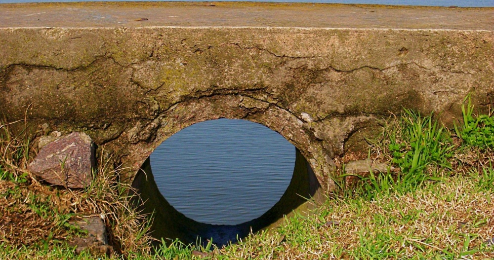 "ojo de laguna" de Marisol Salvador