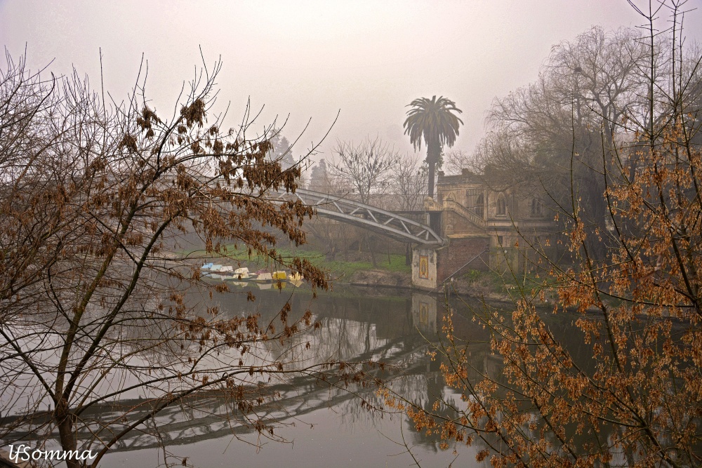 "El puente" de Luis Fernando Somma (fernando)