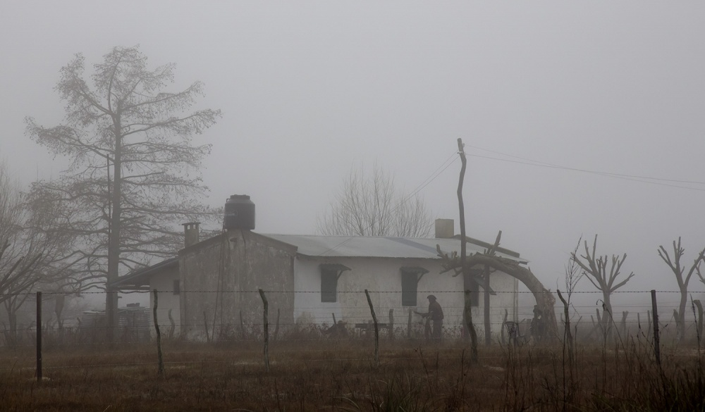 "La casa en la niebla" de Edith Polverini