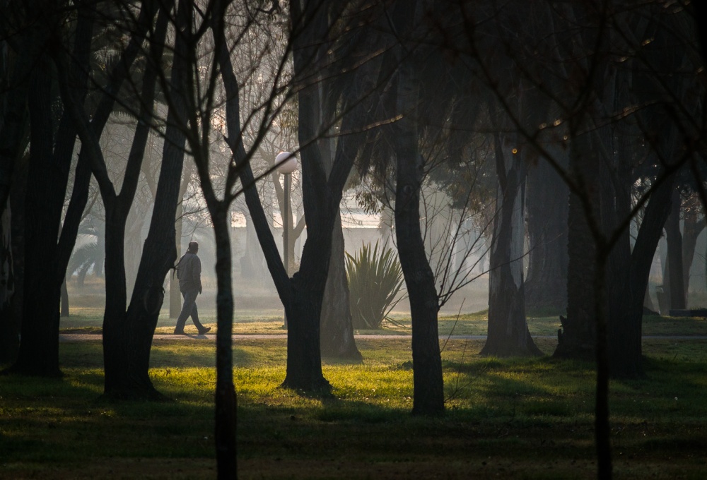 "Tranquilo" de Fernando Valdez Vazquez