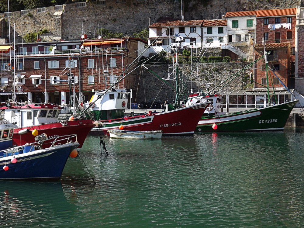 "Puerto de San Sebastian" de Ricardo S. Spinetto