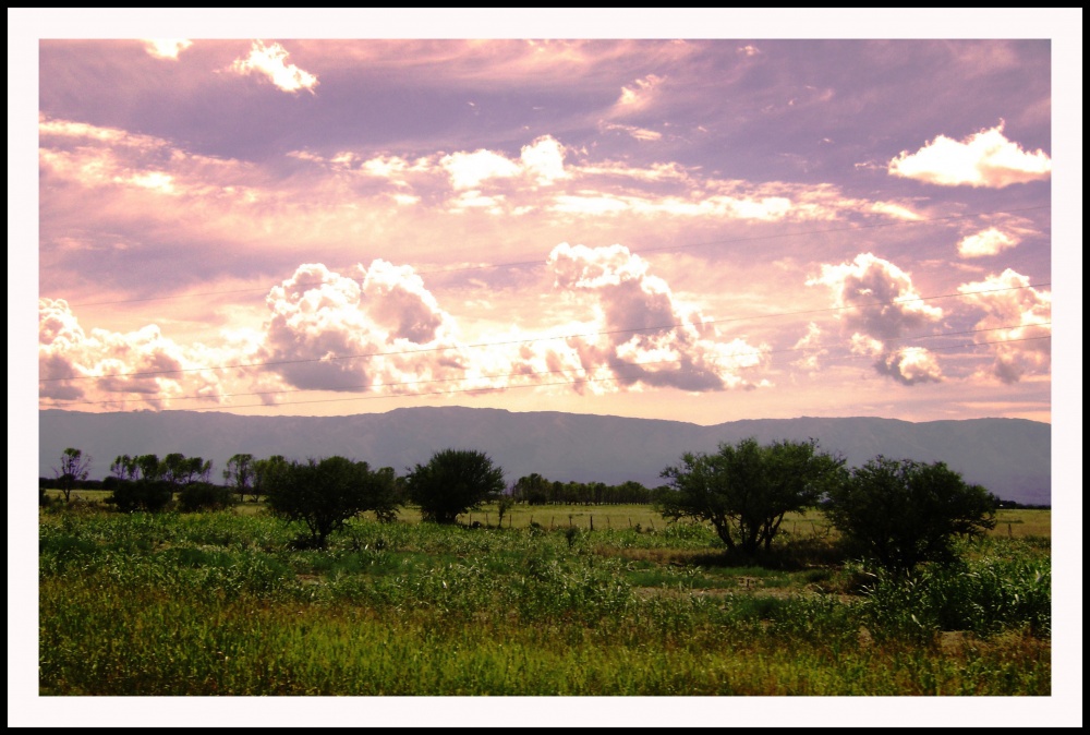 "Campo" de Cesar Muoz