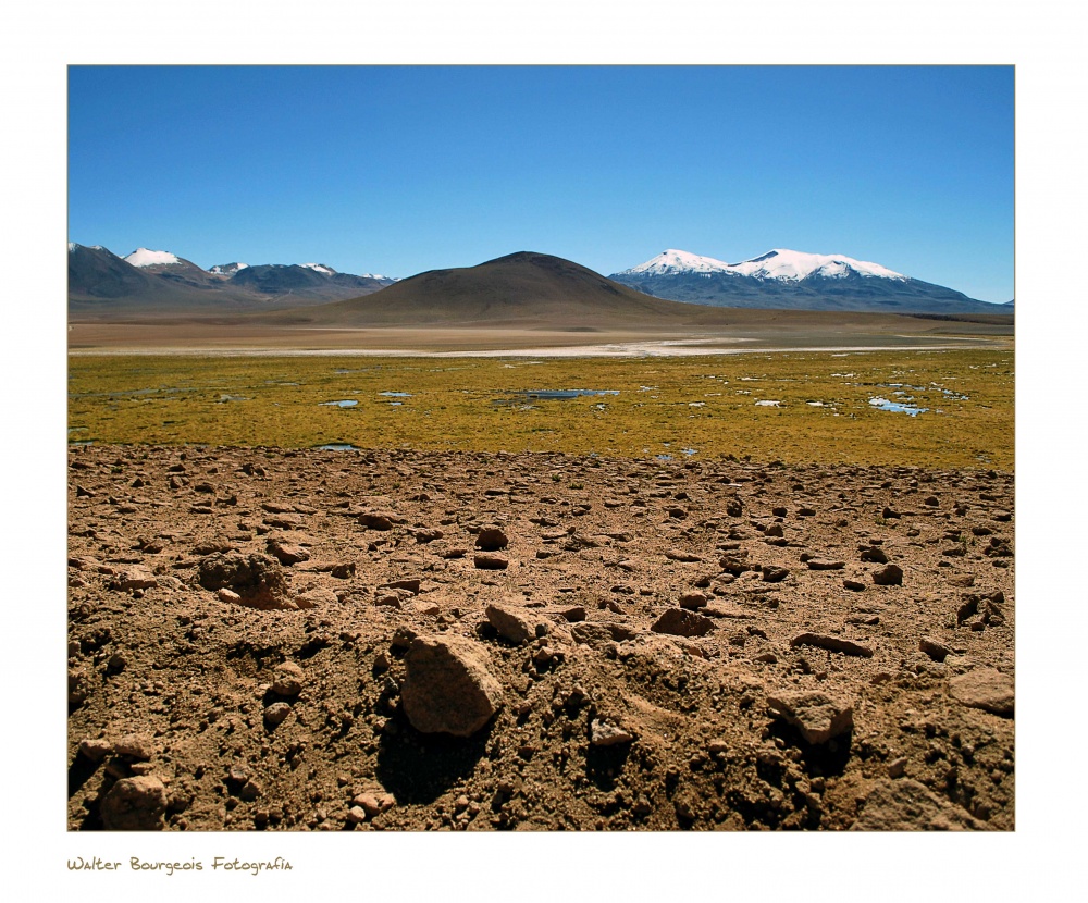 "Volcanes" de Walter Bourgeois