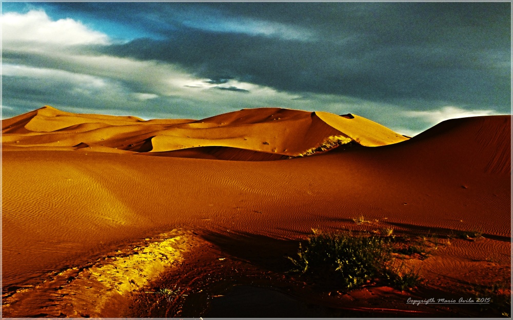 "desierto" de Mario Edgardo Avila