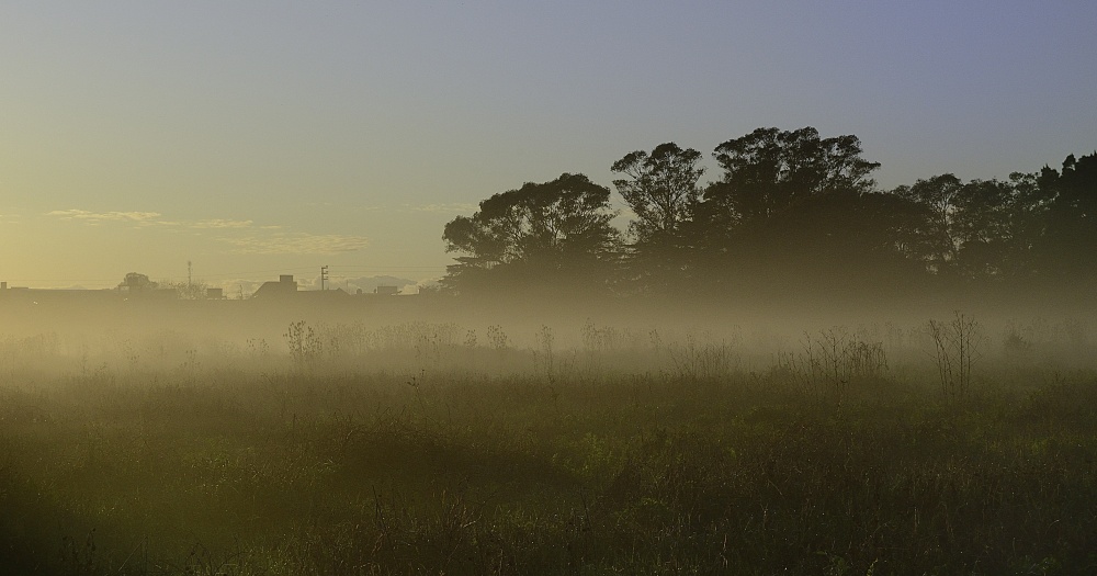 "Amanece en mi ciudad" de Jorge Alberto Montero