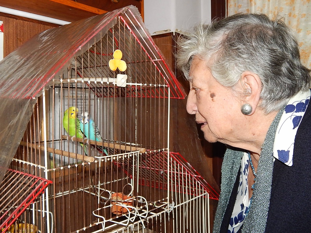 "Chicha Mariani habla con sus pjaros" de Jos Luis Mansur