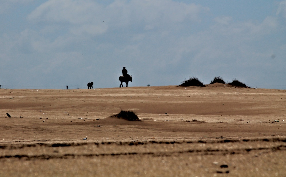 "y don quijote..??" de Guillermo Covelli