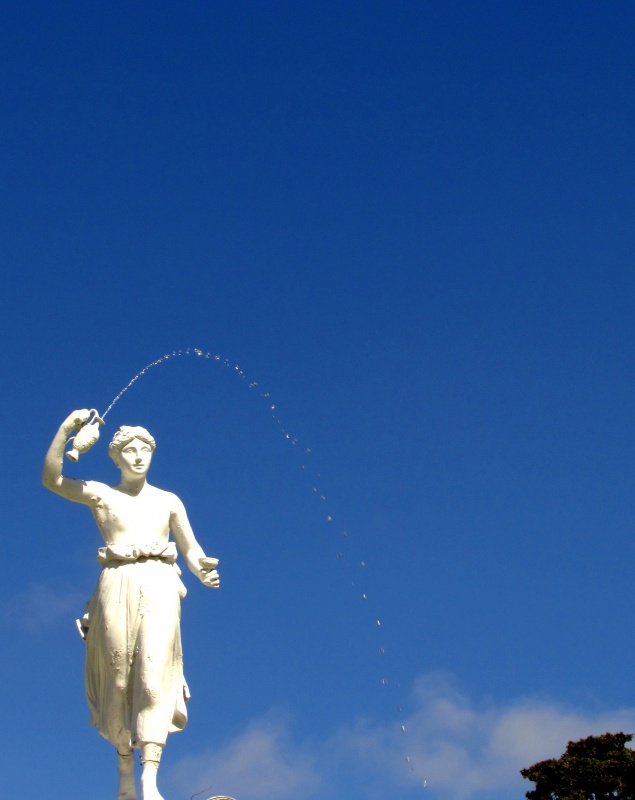 "Regando el rbol" de Norma Navarro