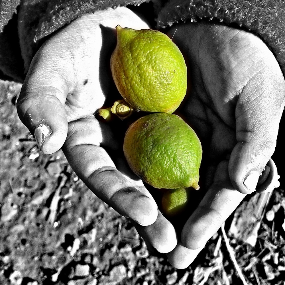"La Nia de los limones" de Aye Villarruel