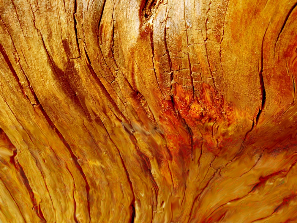 "`Lneas en madera`" de Iris Elizabeth Scotto