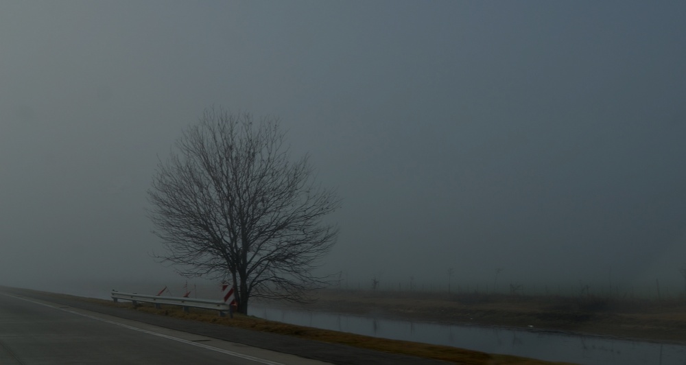 "Maana con niebla" de Mercedes Pasini