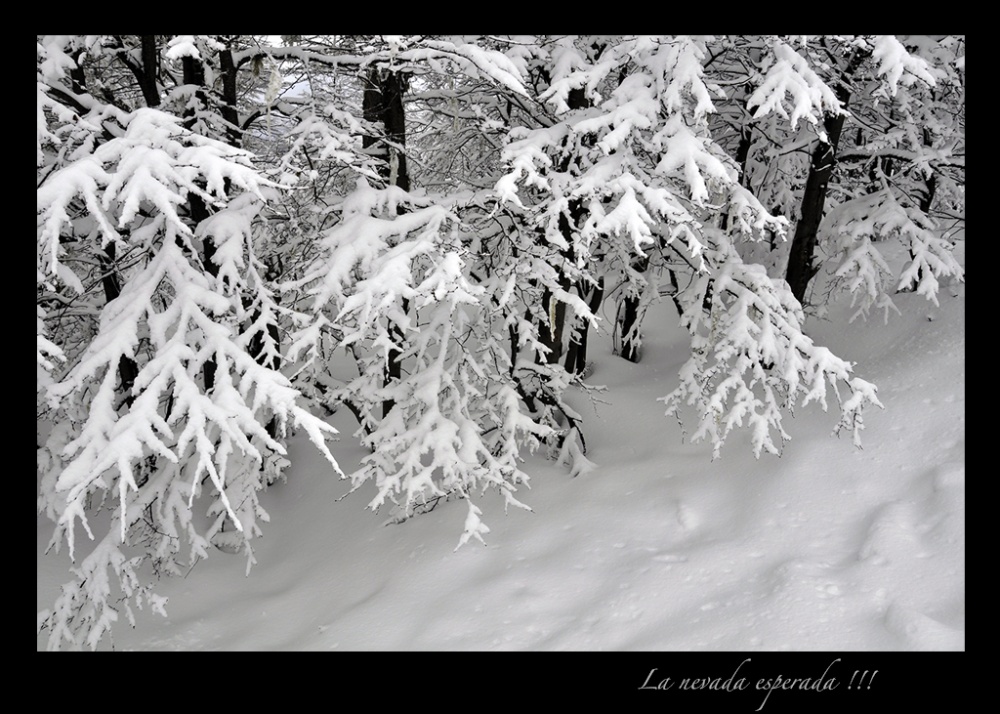 "La nevada esperada" de Ruben Moscatelli
