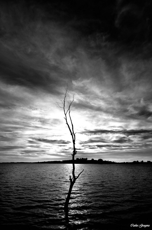 "la esperanza bajo el agua" de Carlos Gustavo Gragera Garriga