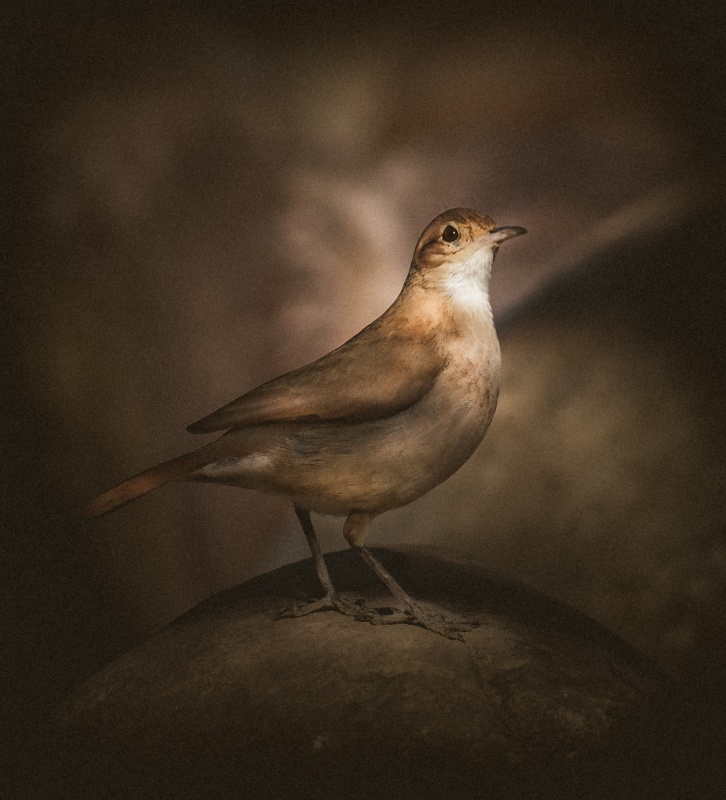 "Posando" de Lorna Aguirre