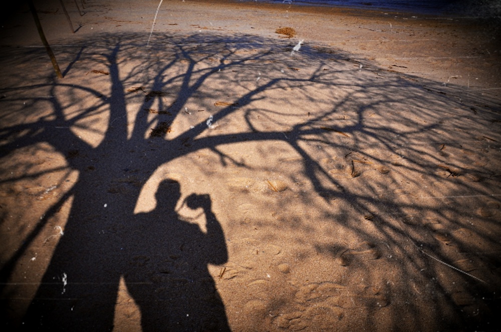 "Selfie o el loco del rbol" de Julio Strauch