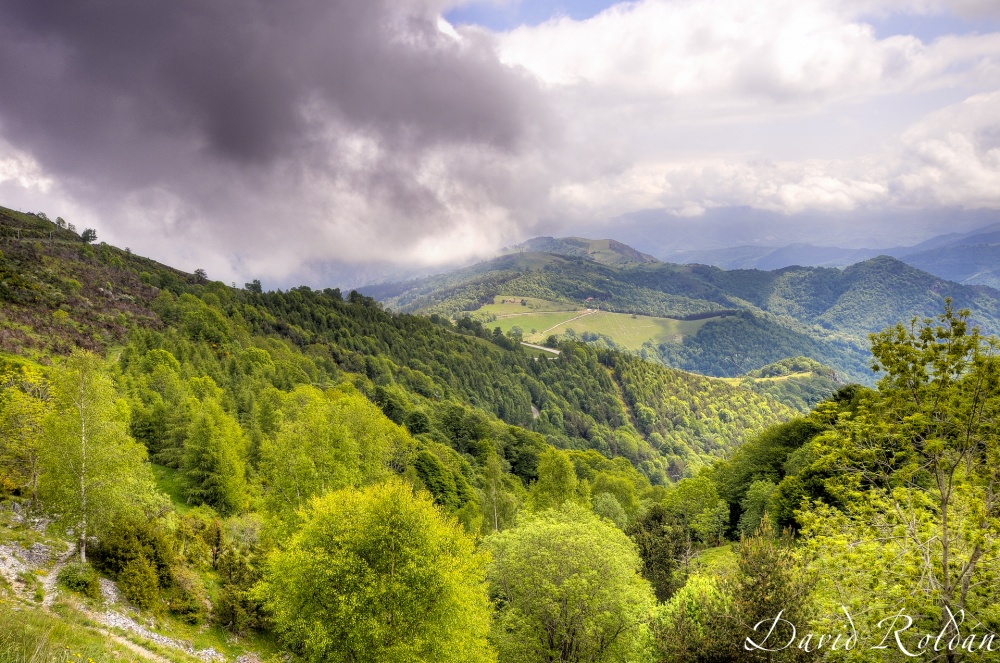 "Racons de Catalunya 6672 Moll" de David Roldn