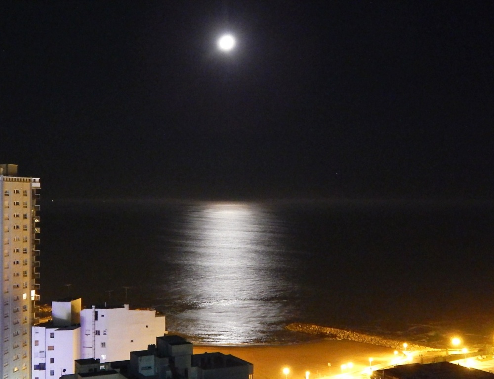 "Luz de Luna" de Jos Luis Mansur