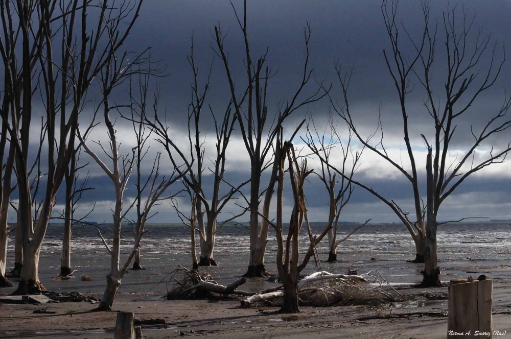 "Atardecer en Epecuen" de Norma Suarez