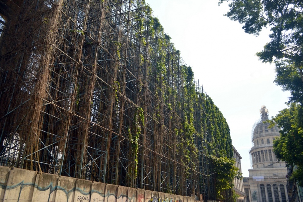 "Enamorada del Muro" de Hugo Miraglia