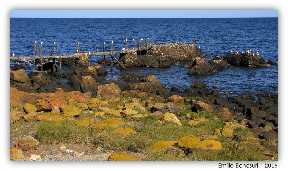 "El muelle de las gaviotas" de Emilio Echesuri