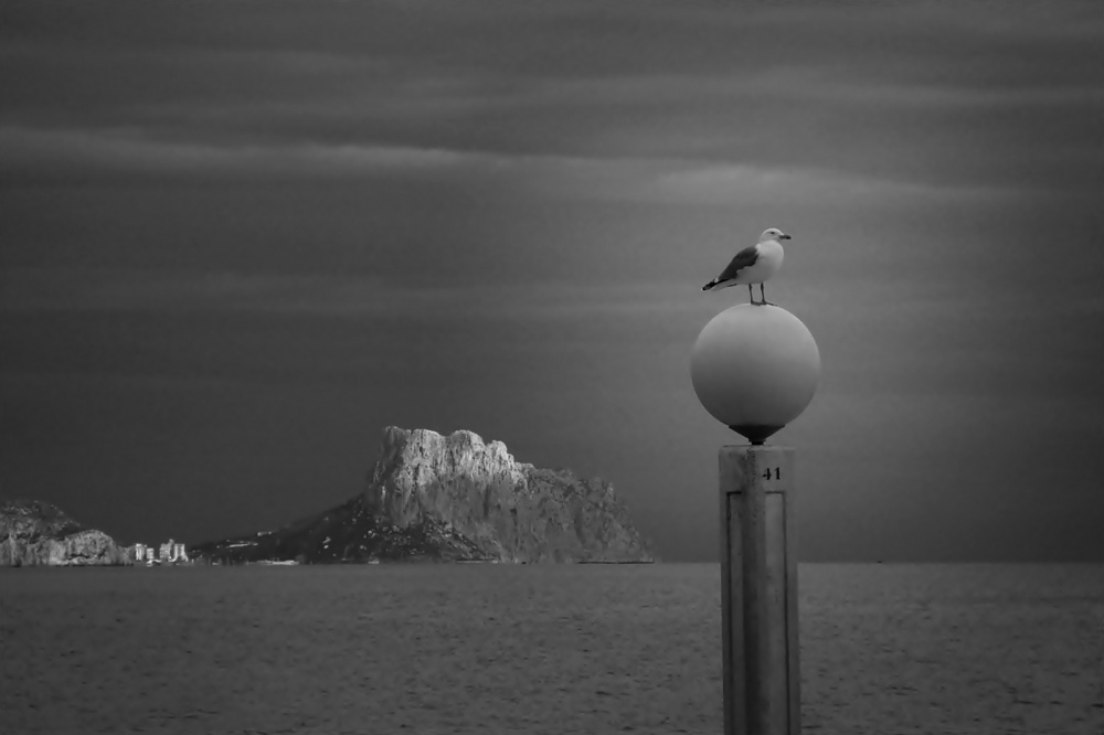 "** VIGILANTE de la PLAYA **" de Antonio Snchez Gamas (cuky A. S. G. )