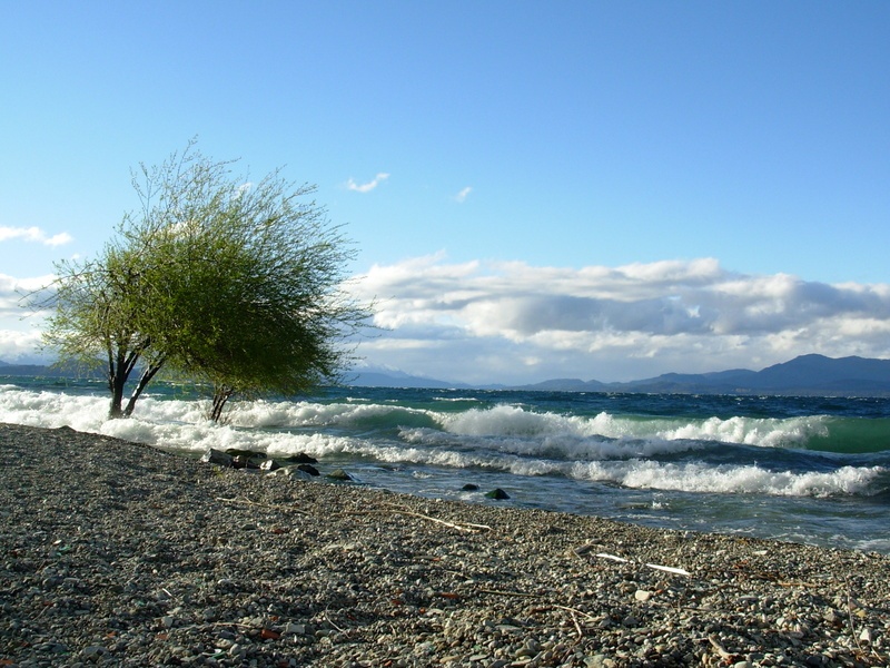 "Nahuel Huapi" de Jorge Berterretch