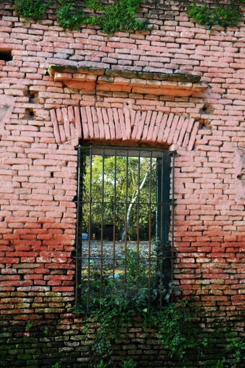 "Ventana al parque" de Daniel Pantin