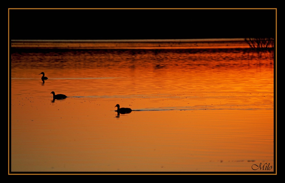 "`atardecer en la laguna...`" de Emilio Casas (milo)