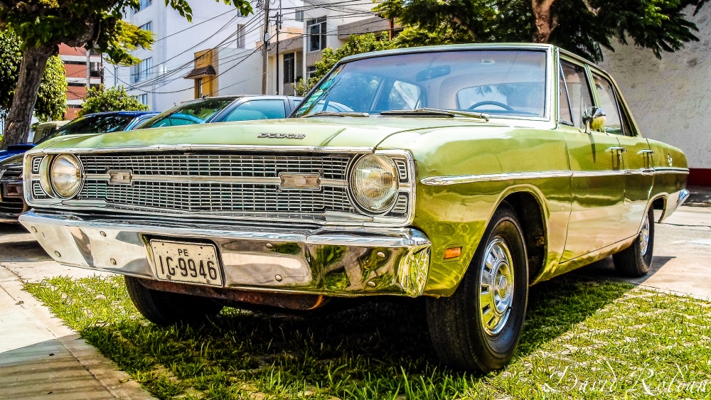 "Green Dodge" de David Roldn