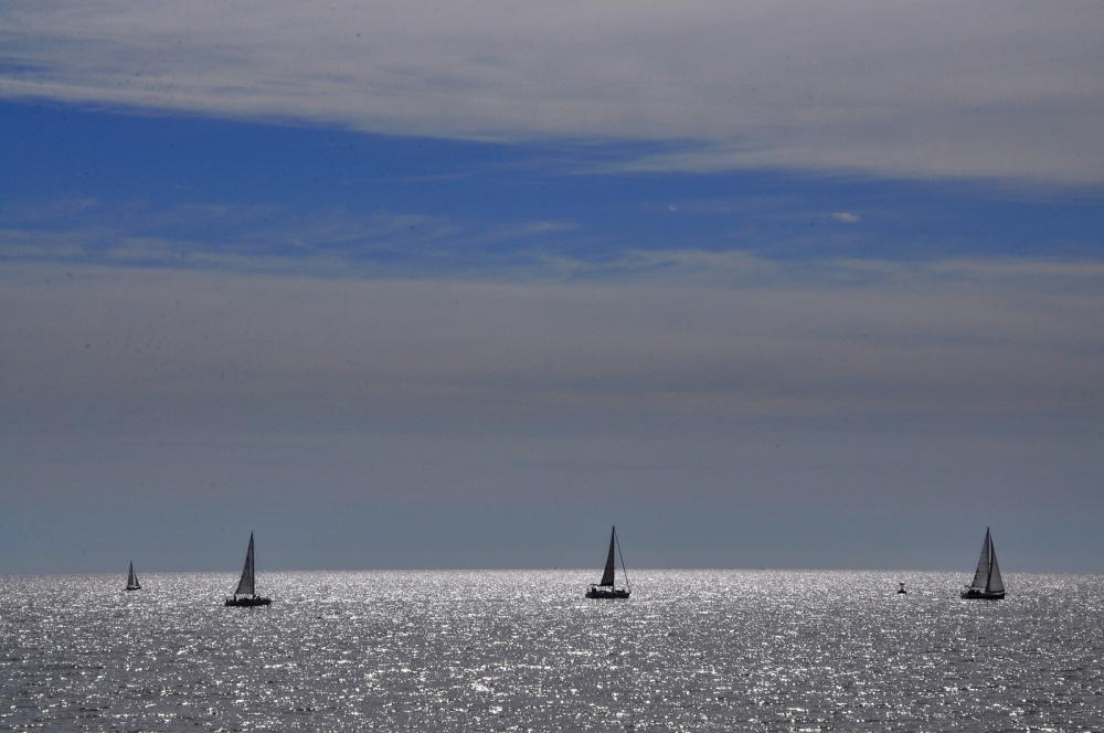 "Del Plata" de Julio Strauch