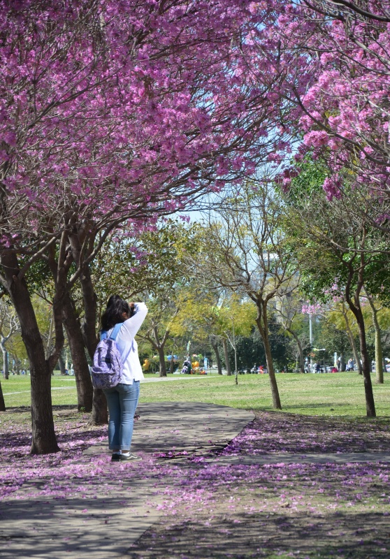 "FELIZ DIA DEL FOTOGRAFO" de Juan Daniel Rodriguez