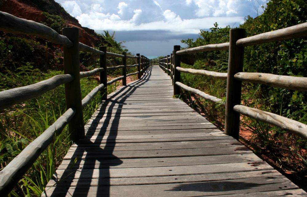 "Camino al Mar" de Fernan Godoy