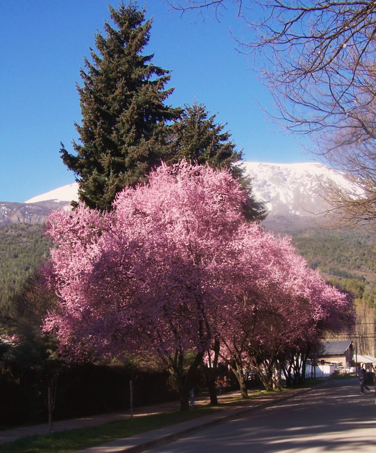 "Los colores del El Bolsn" de Ins Mara Olavarra