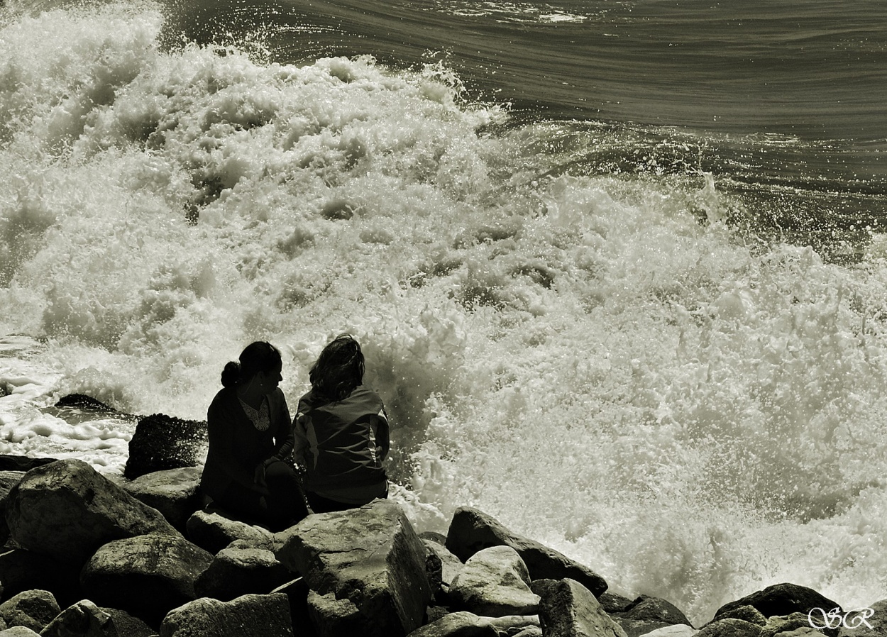 "Conversaciones frente al mar bravo" de Silvia Rodrigo