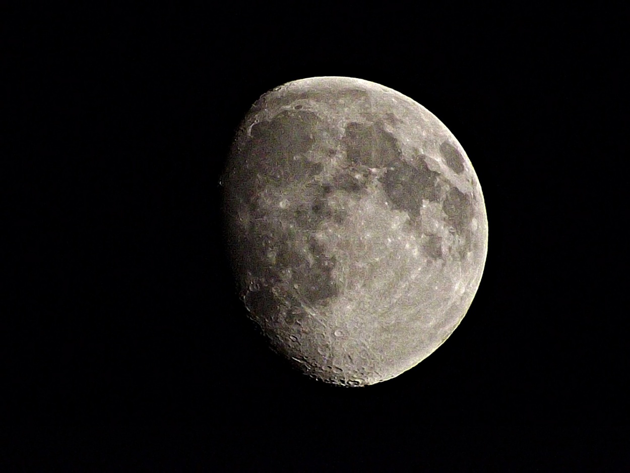 "luna" de Pascual Navarro