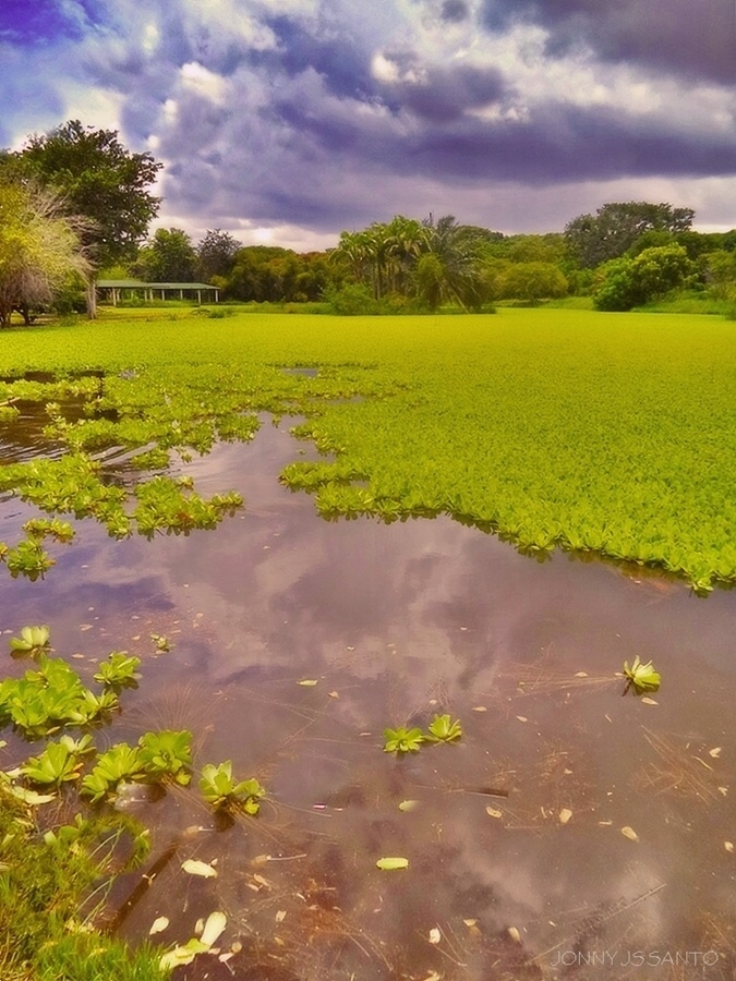 "Preludio de Tormenta" de Jonny Santo